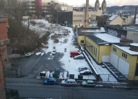 Gärtnern und Genossenschaft?! Gärtnern und Genossenschaft?!